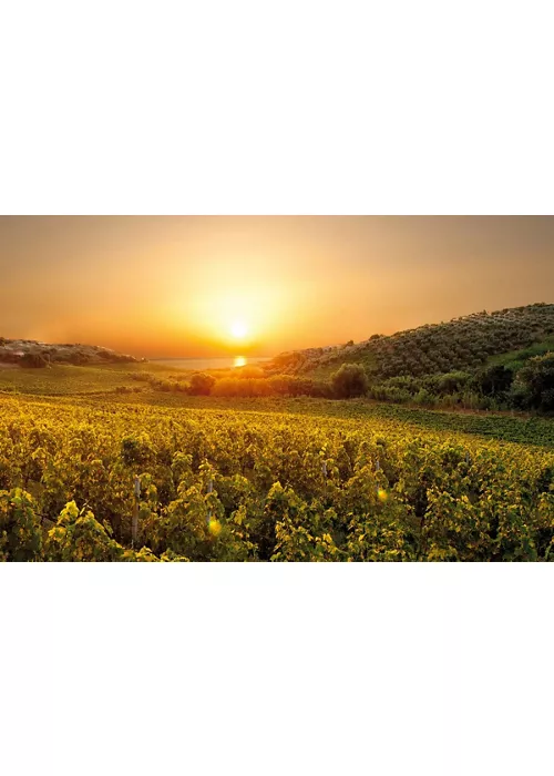 Alto Marchesato Crotonese: tra storia, natura e cultura