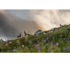 Die Landschaften in Friaul-Julisch Venetien