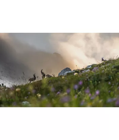 Los paisajes de Friuli-Venezia Giulia