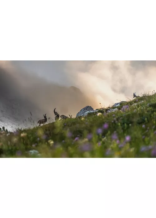 Landscapes of Friuli-Venezia Giulia