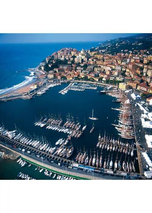 Imperia: the ring of olive trees