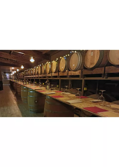 Cooked wine from the Marche region: an ancient Piceni beverage