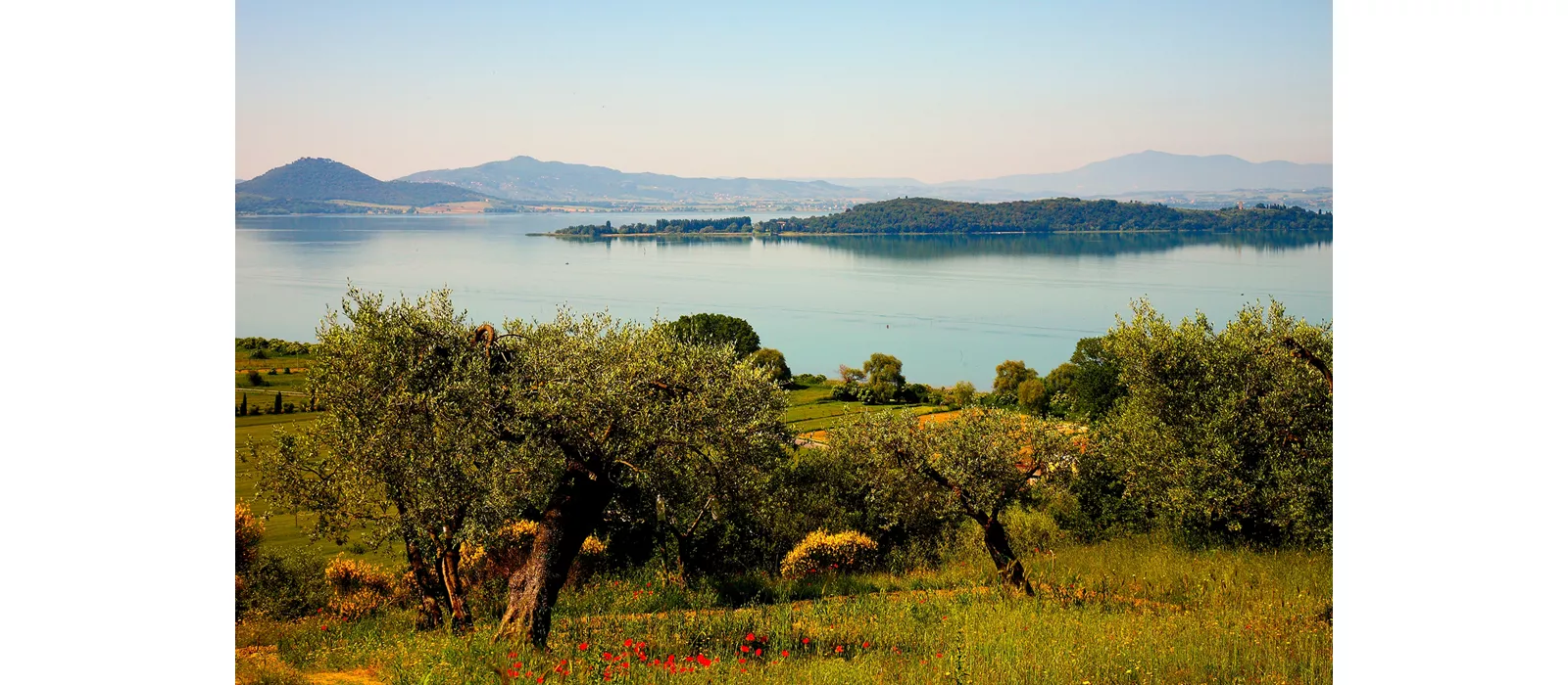 O Lago Trasimeno como nunca o viu