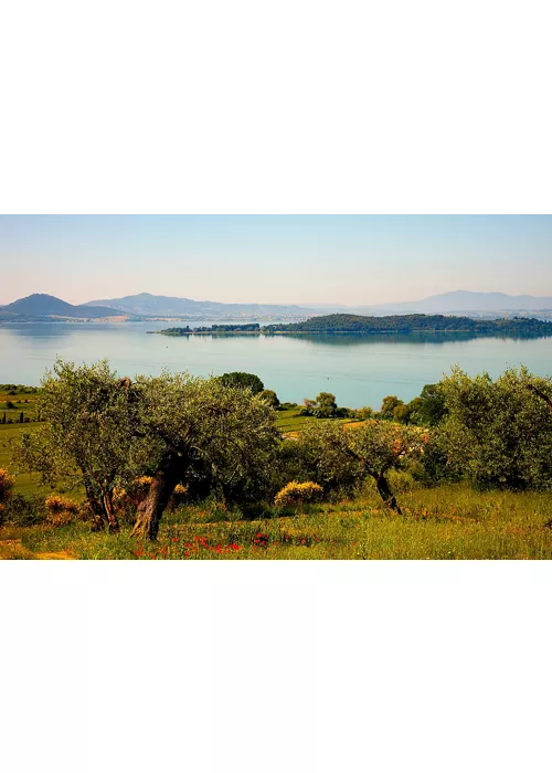 Il lago Trasimeno come non lo avete mai visto