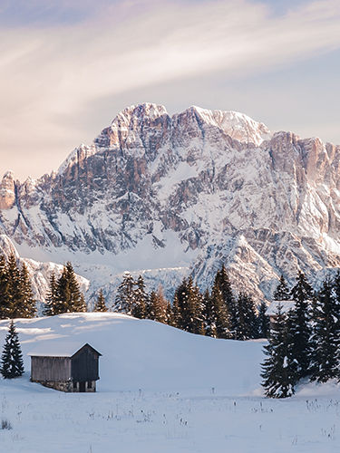 Stanhome - Casalecchio di Reno, Emilia-Romagna - Nextdoor