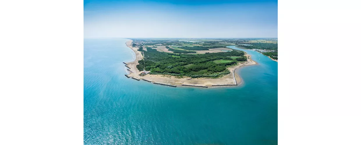 Il faro e la pineta