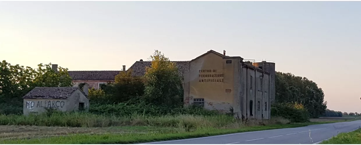 Ca' Venier