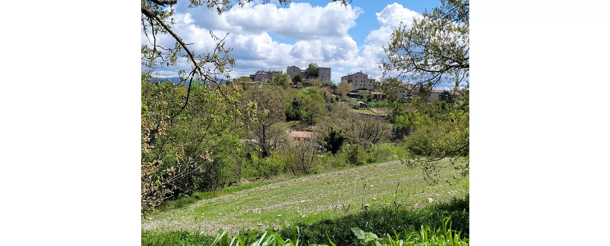 Montebibico