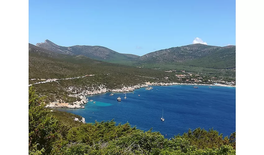 Area Marina Protetta Capo Caccia