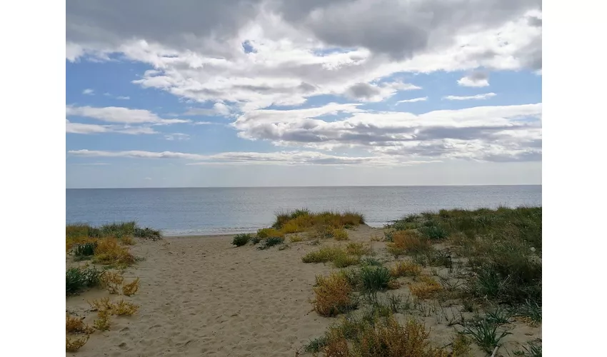 Roccelletta di Borgia