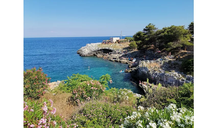 Porto Badisco