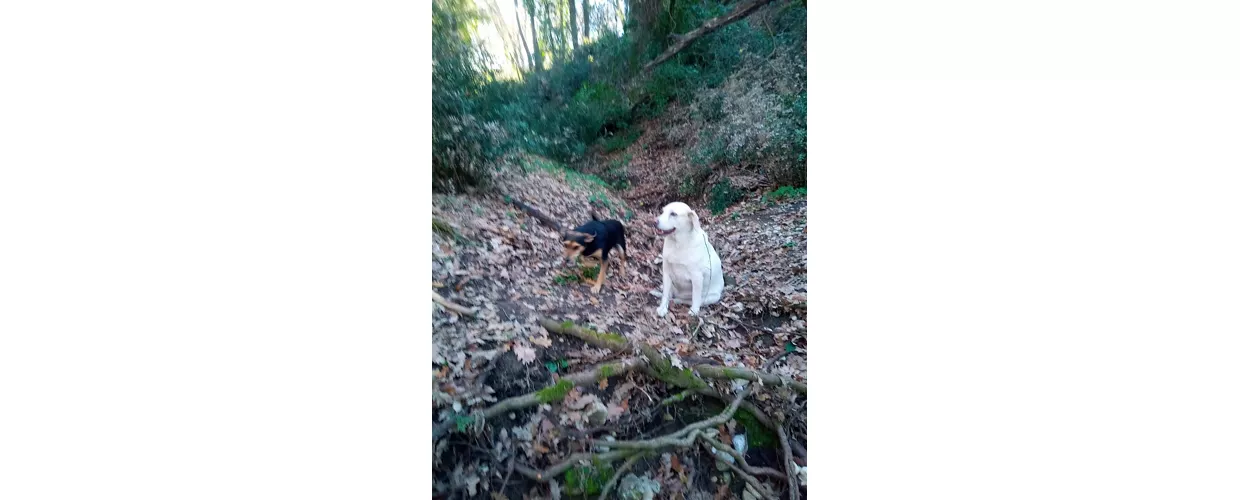 Chiesa della Nativita di Maria