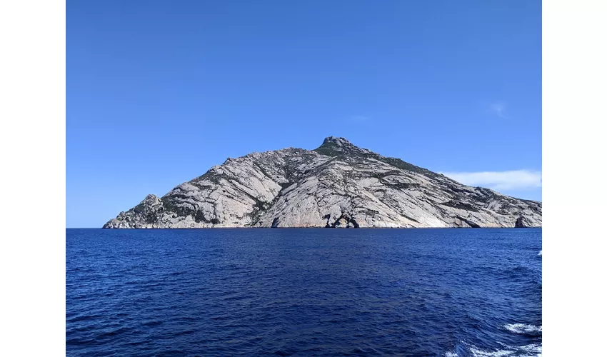 Isola di Montecristo