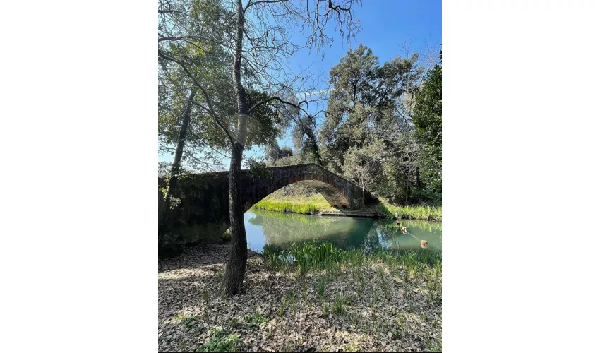 Parque da Versiliana