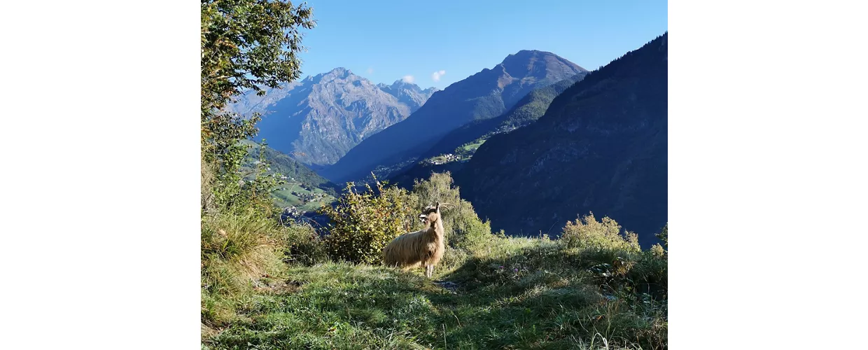 Val Seriana