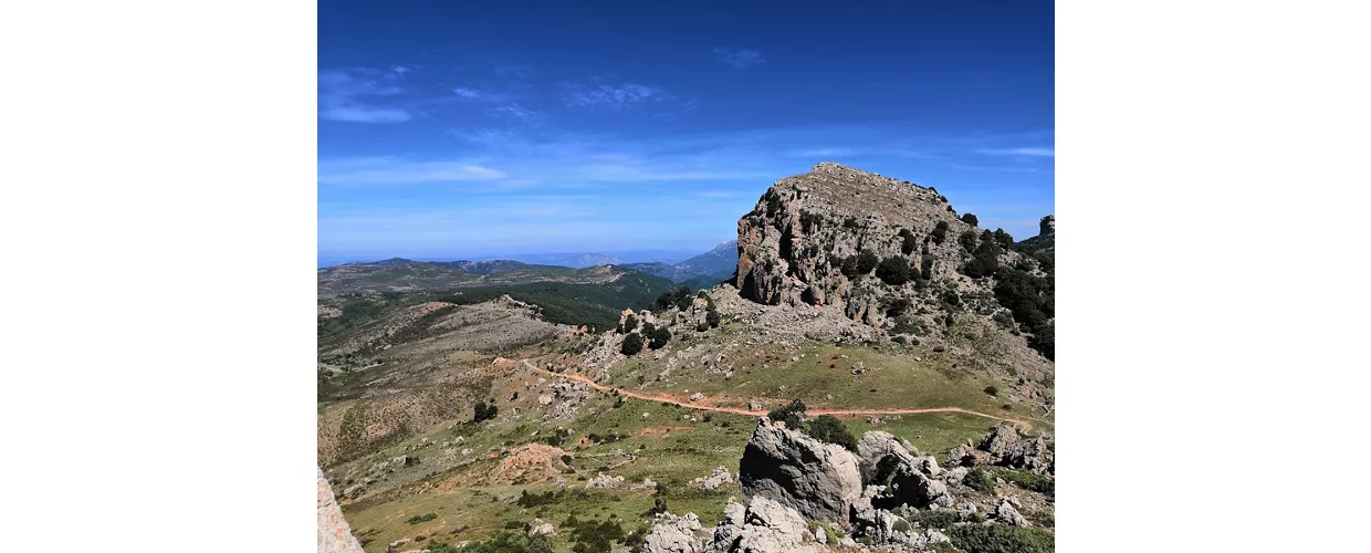 Bosque de Montes