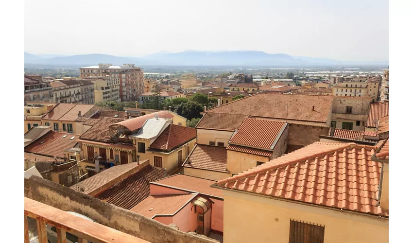 Musée archéologique national