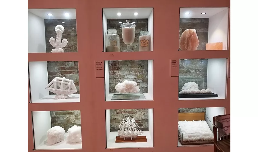 MUSA • Musée du sel