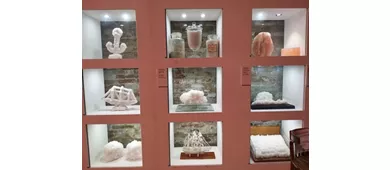 MUSA • Musée du sel