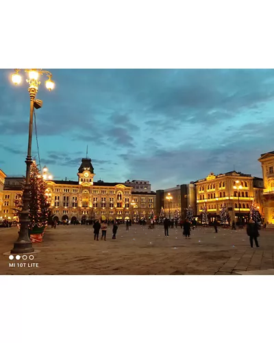 Cathédrale Notre-Dame-de-l'Assomption