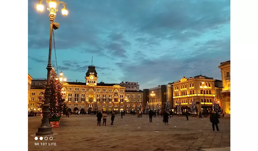 Cathédrale Notre-Dame-de-l'Assomption