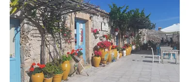 Palagonia