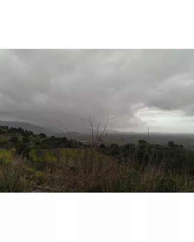 Provincia del Medio Campidano