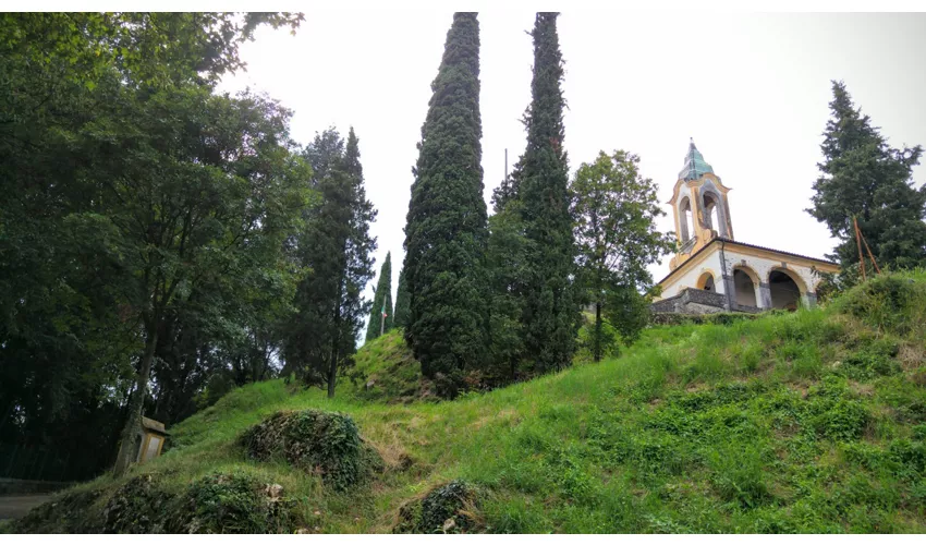 Bibbiena