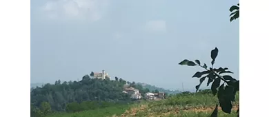 Rho Fieramilano