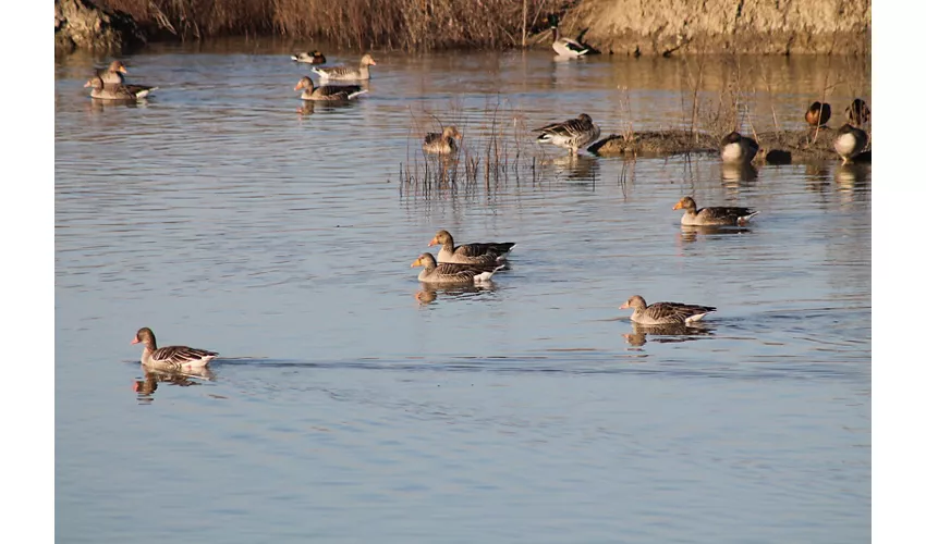 Réserve naturelle La Rizza
