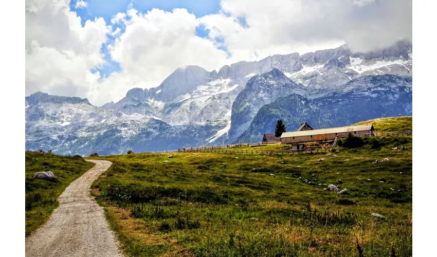 Haut-plateau du Montasio