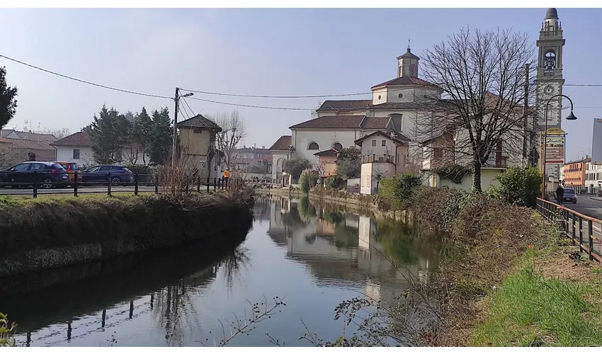 Gorgonzola