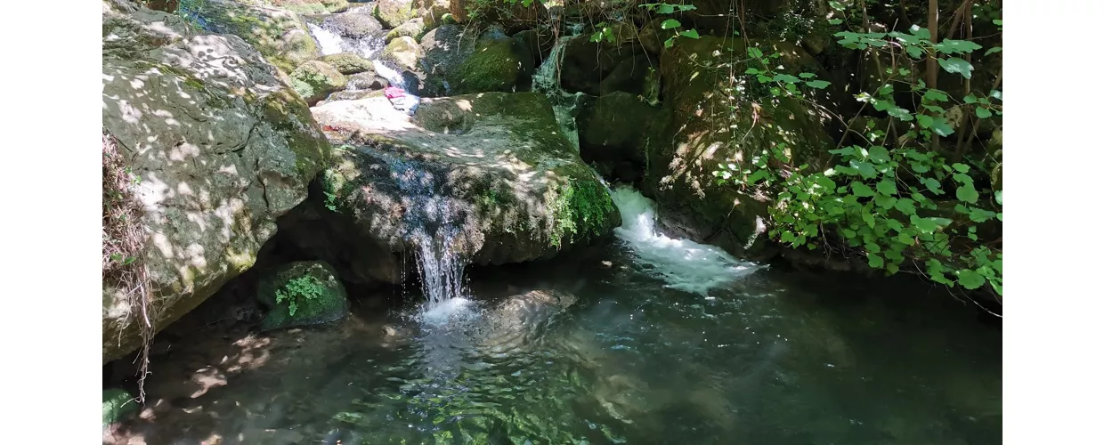 Cipresseta di Fontegreca