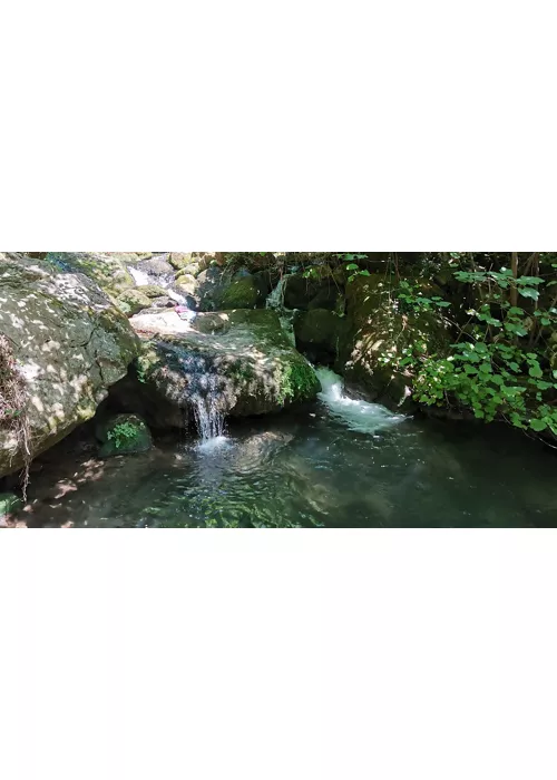 Cipresseta di Fontegreca