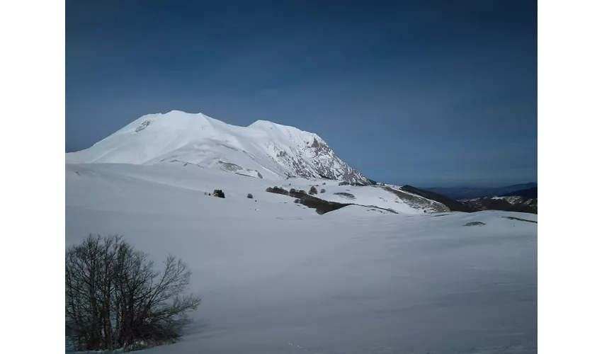 Forca di Presta