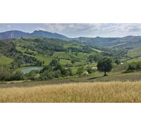 Eine Tour auf zwei Rädern durch die Straßen der Emilia-Romagna