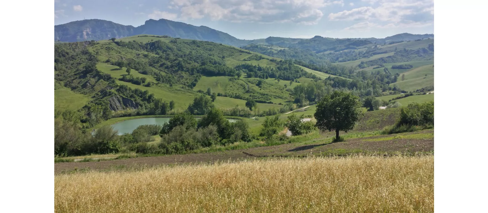 Eine Tour auf zwei Rädern durch die Straßen der Emilia-Romagna