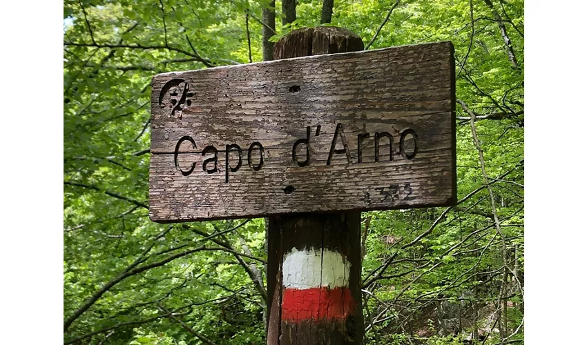 Capo d'Arno