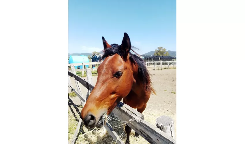 Borgo dell‘Aschetto