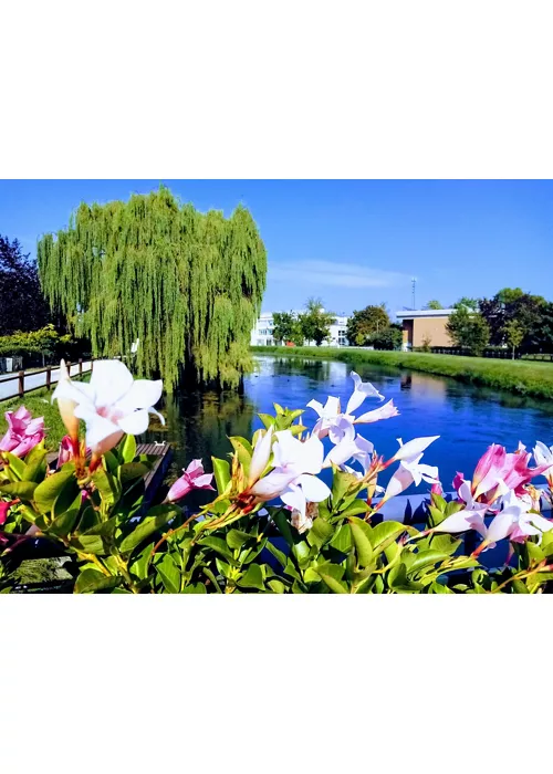 Fiume Veneto