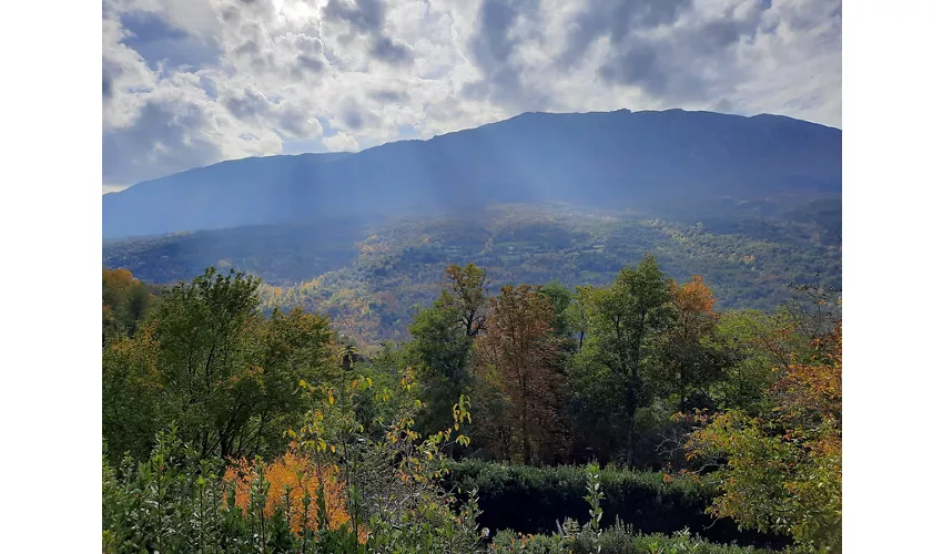 Parque Aventura Majagreen Caramanico Terme