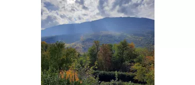 Parque Aventura Majagreen Caramanico Terme