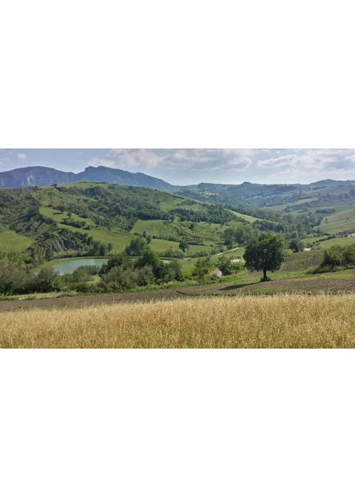 Um itinerário sobre duas rodas pelas estradas da Emília-Romanha