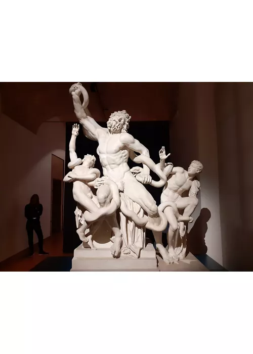 museo preistorico dell isolino