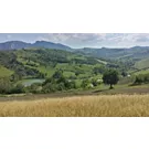 Un itinéraire à vélo dans les rues de l'Émilie-Romagne