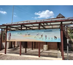 Musée de Casal de' Pazzi : à la découverte du Pléistocène à travers un parcours multisensoriel