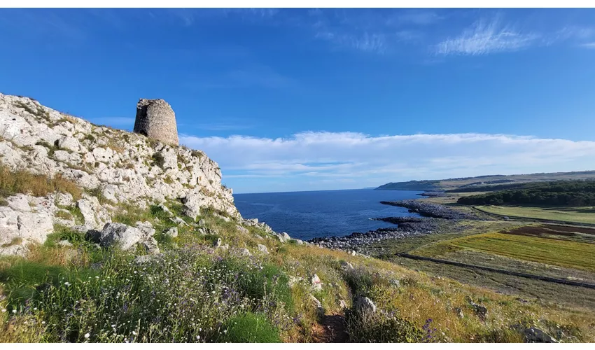 Torre Sant'Emiliano