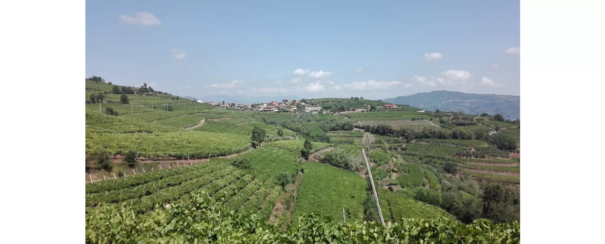 Fittà