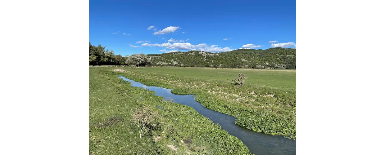 Pantano della Zittola