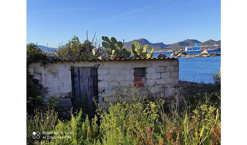 Olbia